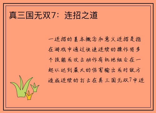真三国无双7：连招之道