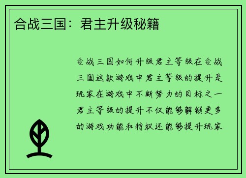 合战三国：君主升级秘籍
